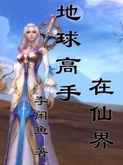 地球高手在仙界