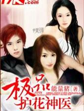 极品护花神医