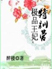 极品王妃特训营