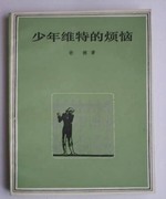 少年维特的烦恼