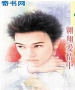 翱翔爱情中