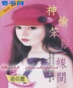 神偷笨贼一线间