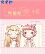 限量版爱情