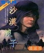 沙漠浪子