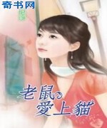 老鼠爱上猫