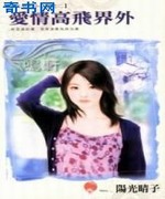 爱情高飞界外