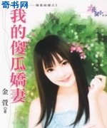 我的傻瓜娇妻