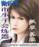 都市小子会炼器