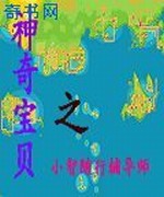 神奇宝贝之小智随行辅导师