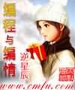 编程与编情