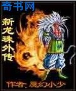 新龙珠外传