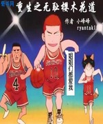 重生之无耻樱木花道