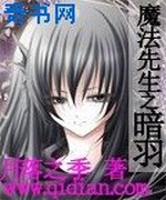 魔法先生之暗羽