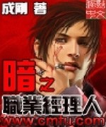 暗之职业经理人