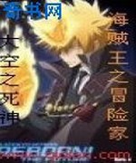 海贼王之冒险家