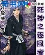 死神之逐风者