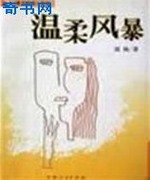 温柔风暴