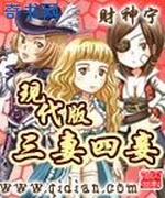 现代版三妻四妾