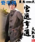 重生1990之官运亨通