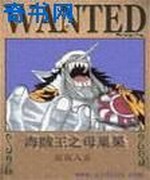 海贼王之母巢果实