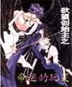 欲望创始主之命运的玩笑