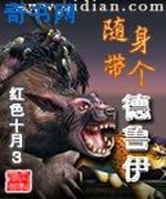 随身带个德鲁伊