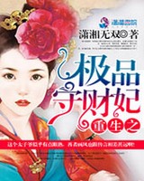 重生之极品守财妃