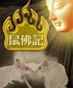 鼠佛记