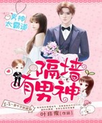 隔墙有男神:强行相爱100天