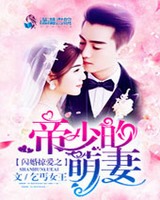 闪婚掠爱之帝少的萌妻