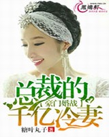 豪门婚战总裁的千亿冷妻