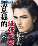 黑总裁的倔强女佣