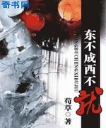 东不成西不就