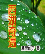 西湖奇遇