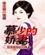 史上第一宠婚:慕少的娇妻