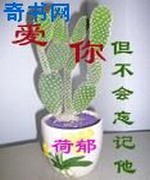 爱你但不会忘记他