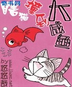 瞎猫撞到大咸鱼