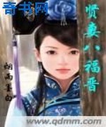 贤妻八福晋
