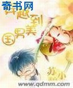 穿越到美男国