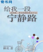 给我一段宁静路