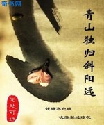 青山独归斜阳远