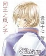 网王之风之子