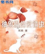 抽象猫的爱情虫