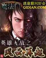 魔法门英雄无敌之风云再起