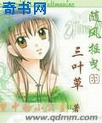 随风摇曳的三叶草