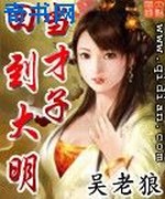 回到大明当才子