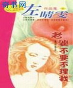 老婆不要不理我