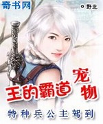 特种兵公主:王的霸道狐宠