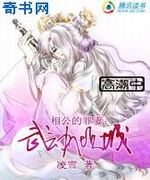 相公的罪妻:武动倾城