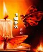 飞蛾扑火
